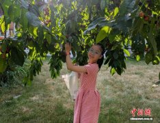 加拿大华裔少女的“文化